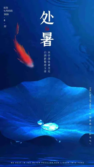 二十四节气处暑app启动页海报