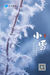 小雪清新雪枝冰花冬天节气海报
