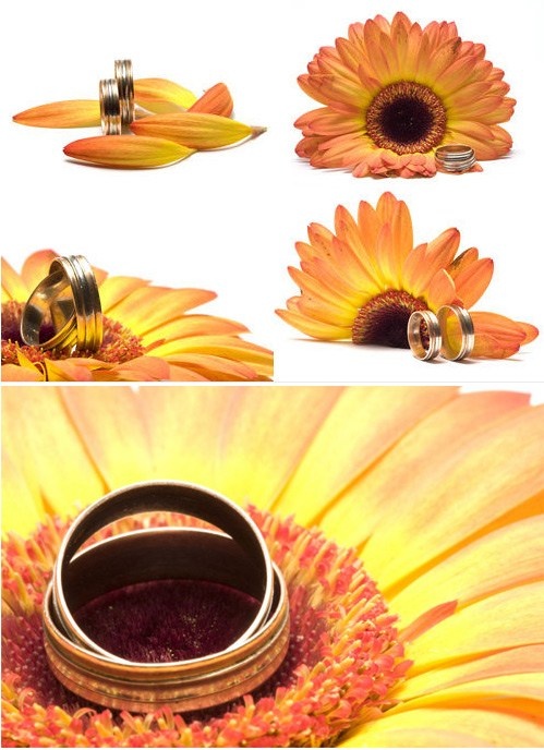 鲜花与戒指高清图