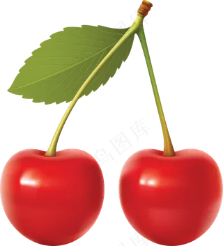 樱桃免抠素材 (6)