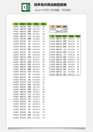按多条件筛选销售数据excel模板