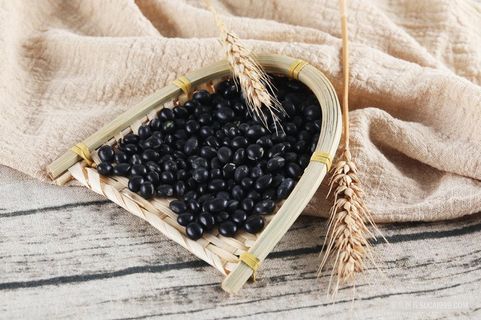 黑色大豆摄影图片