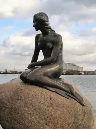 美人鱼化石图片