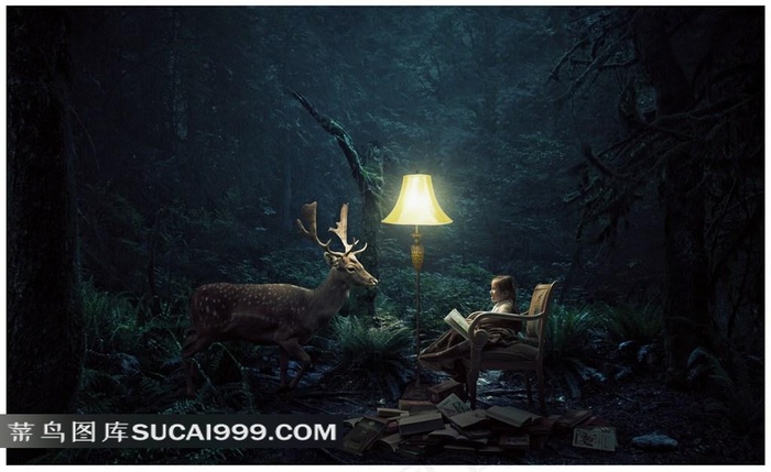 动漫唯美森林图片