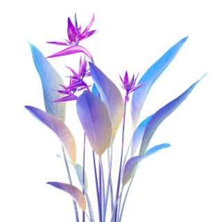 酸性蒸汽波装饰植物花兰花模型免扣素材