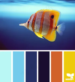 动物配色色卡色彩搭配