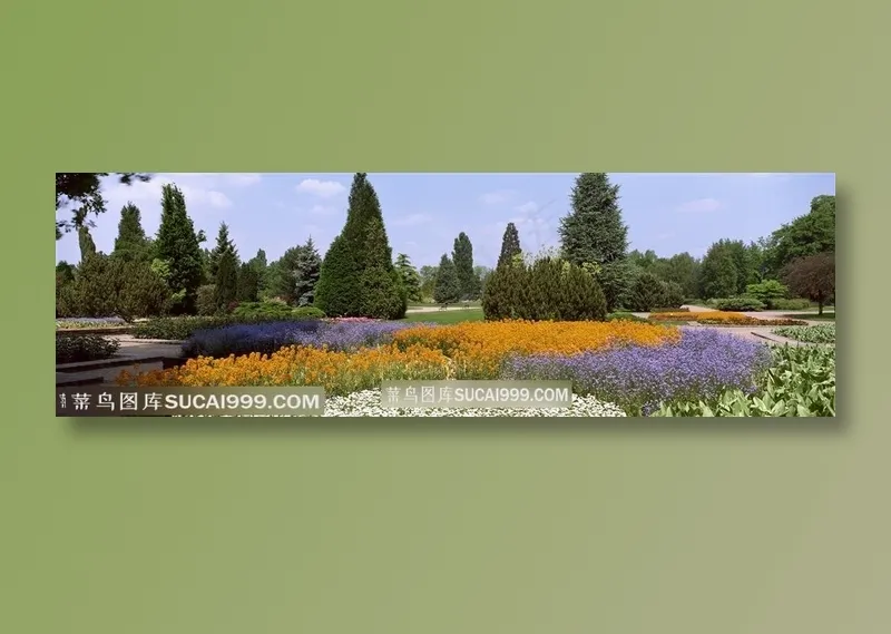 花海