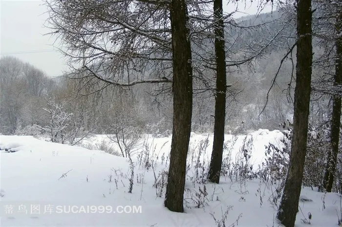 高清大雪风景图