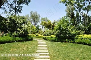 山东新泰清音公园