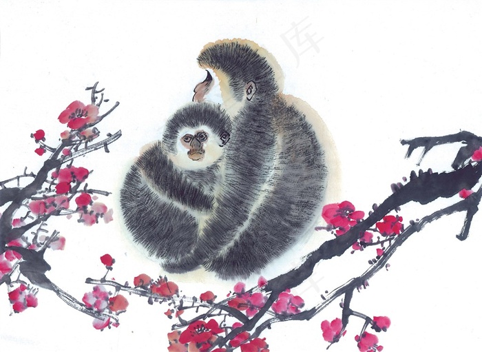 生肖动物高清素材