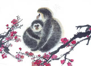 生肖动物高清素材