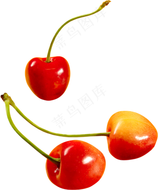 樱桃免抠素材 (36)