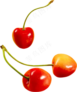 樱桃免抠素材 (36)