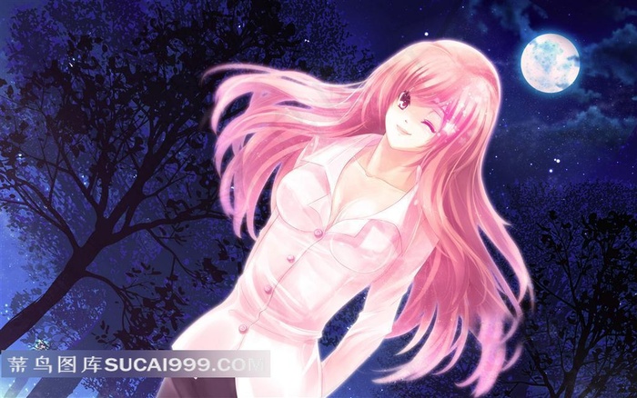 月光下的性感美少女插画