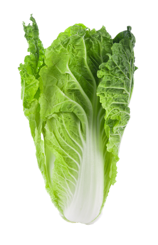 白菜 (3)超市商品白底图免抠实物摄影png格式图片透明底