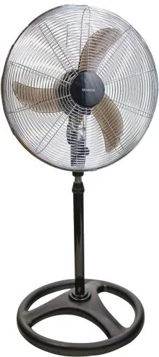 扇子 PNG免抠(520x1163)