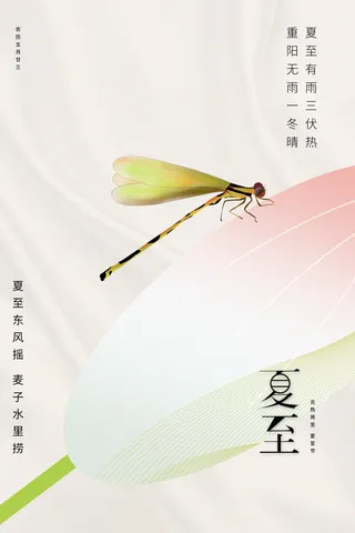 创意大气简约夏至节日节气海报
