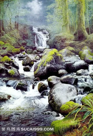 林间水涧风景图片