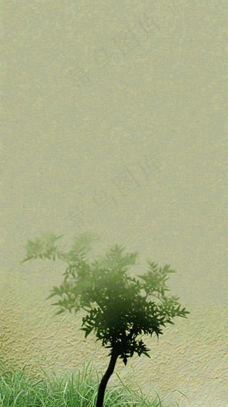 简约绿色叶子影子纹理