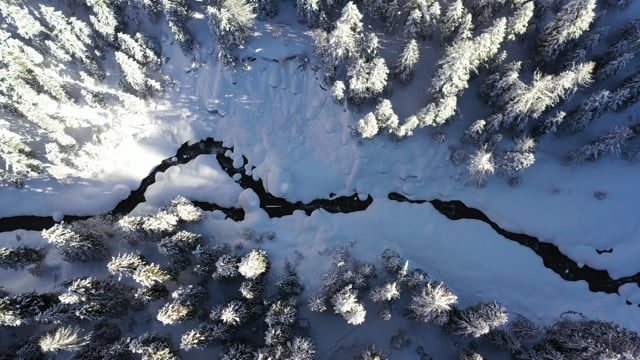 河, 溪, 雪, 树木, 山, 冻结, 挪威, 风景秀丽的