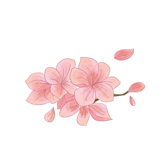 春天浪漫粉红色樱花手绘樱花梅花桃花花朵图片PNG免扣素材