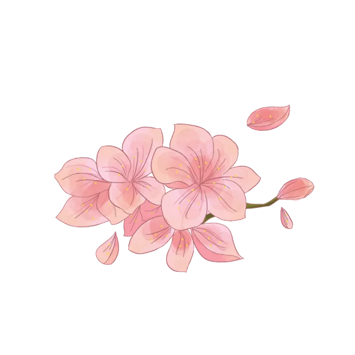 春天浪漫粉红色樱花手绘樱花梅花桃花花朵图片PNG免扣素材