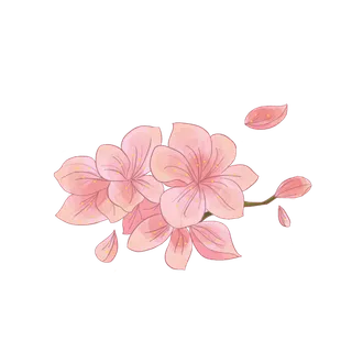 春天浪漫粉红色樱花手绘樱花梅花桃花花朵图片PNG免扣素材