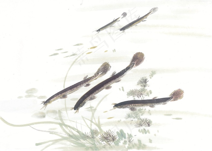 国画鱼虾蟹龟设计美图素材