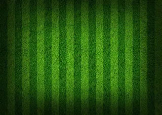 足球场草地草坪背景大图