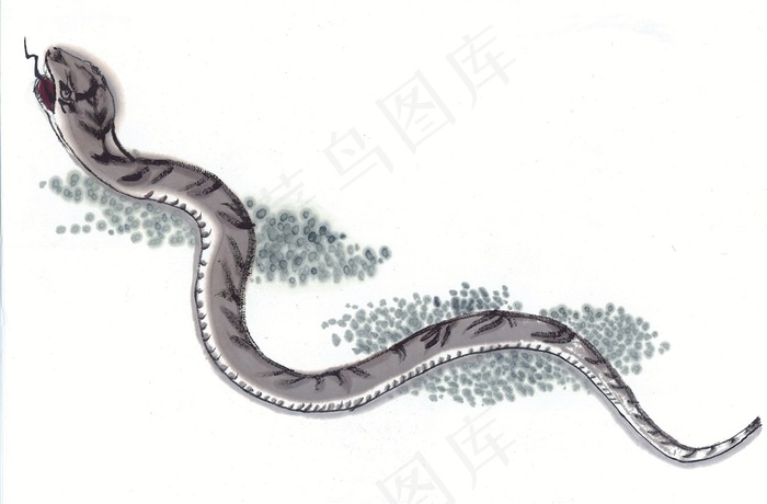 鼠牛虎兔龙蛇马羊猴鸡狗猪大图素材