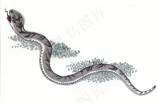 鼠牛虎兔龙蛇马羊猴鸡狗猪大图素材