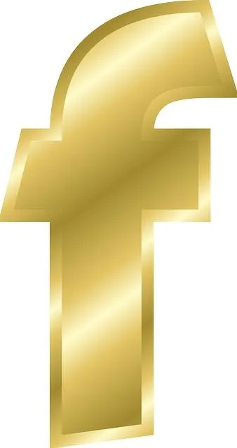 字母F PNG免抠(338x640)