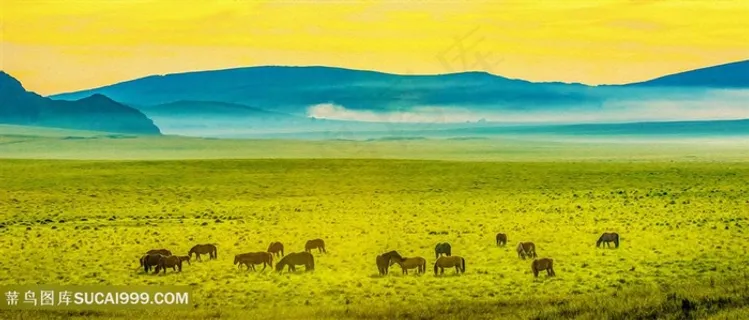 草原牧马摄影图
