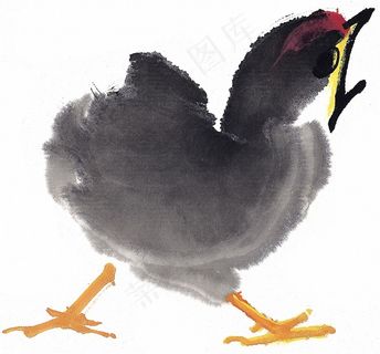 家畜系列摄影图片