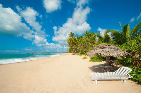 海边的沙滩躺椅