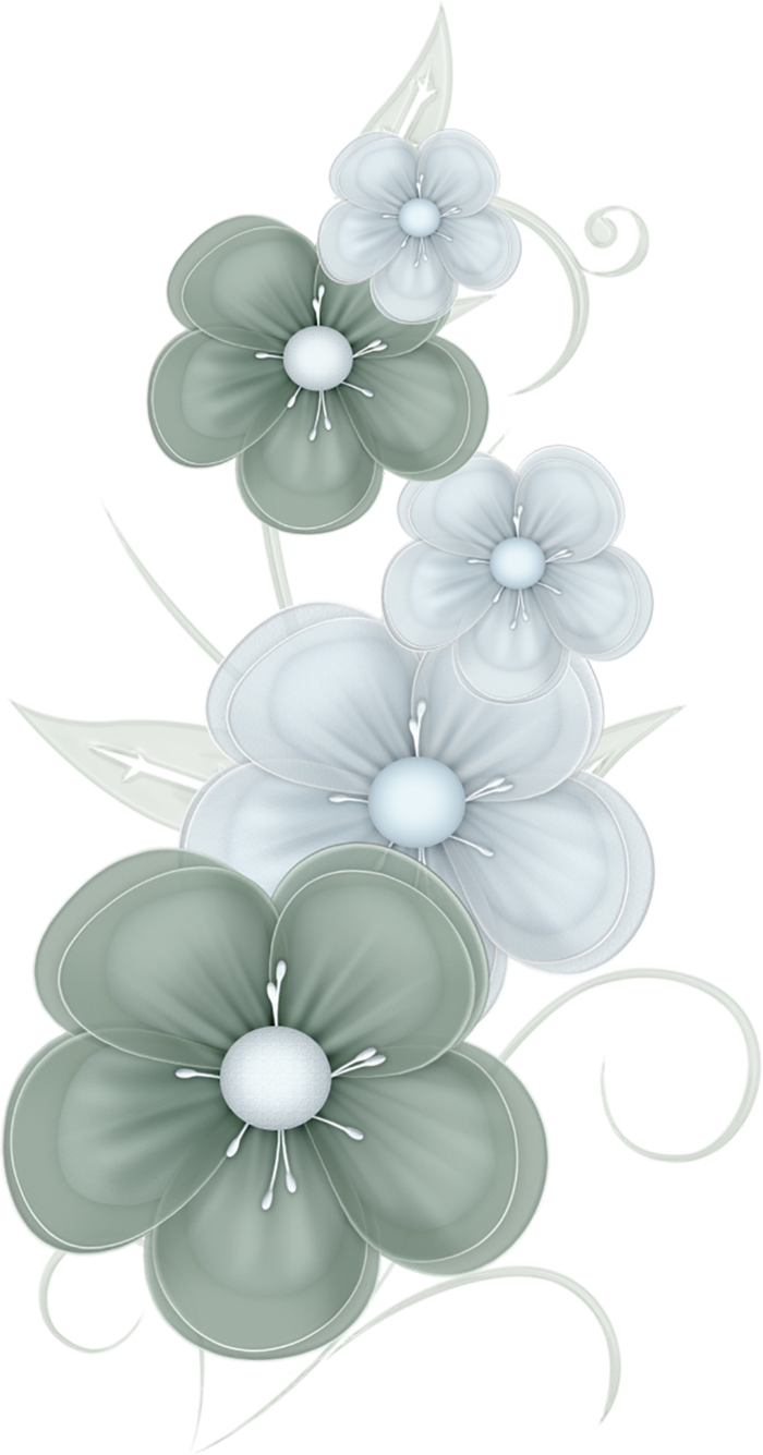 花朵梅花卡通