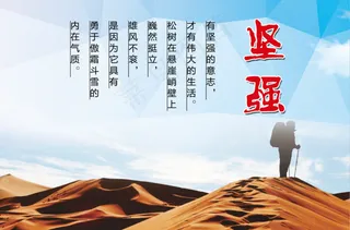 坚强 校园文化展板