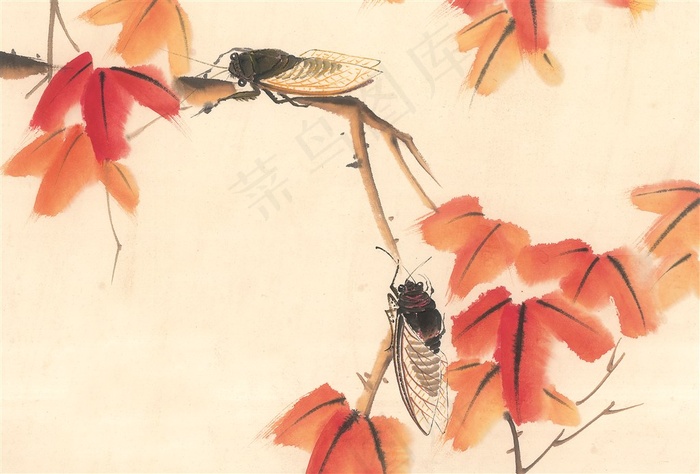 昆虫花草高清摄影图片
