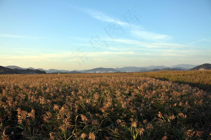 田野种植地图片