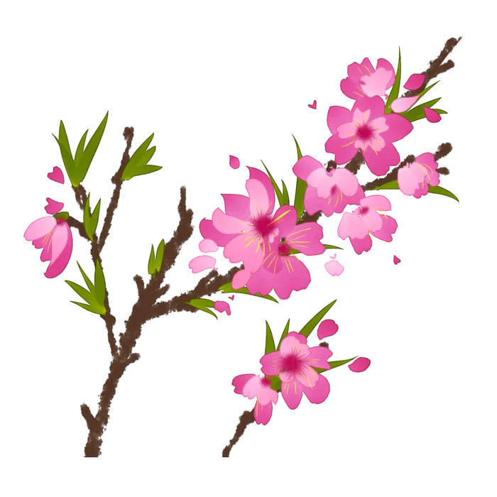春天浪漫粉红色樱花手绘樱花梅花桃花花朵图片PNG免扣素材