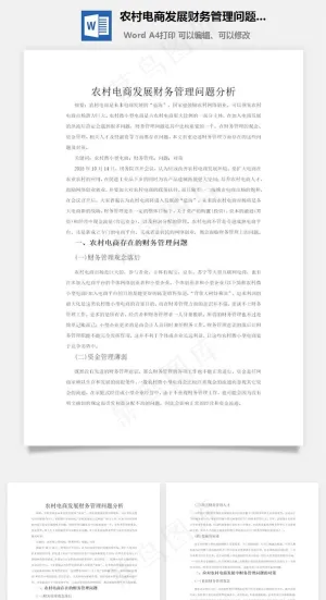 农村电商发展财务管理问题分析word文档