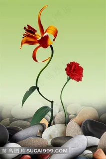 高清装饰画无框画设计素材