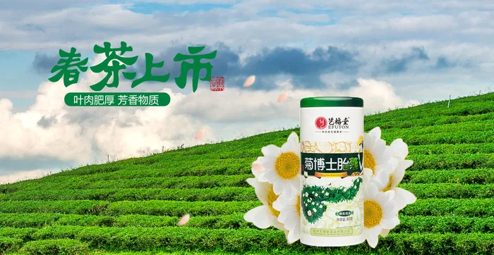 设计茶叶春茶上市素材psd模版下载