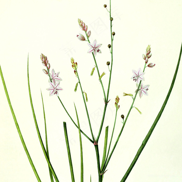 手绘花卉仟像版春的呼吸