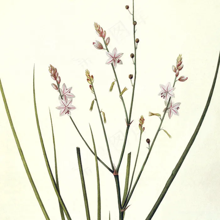 手绘花卉仟像版春的呼吸