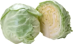 卷心菜 PNG免抠