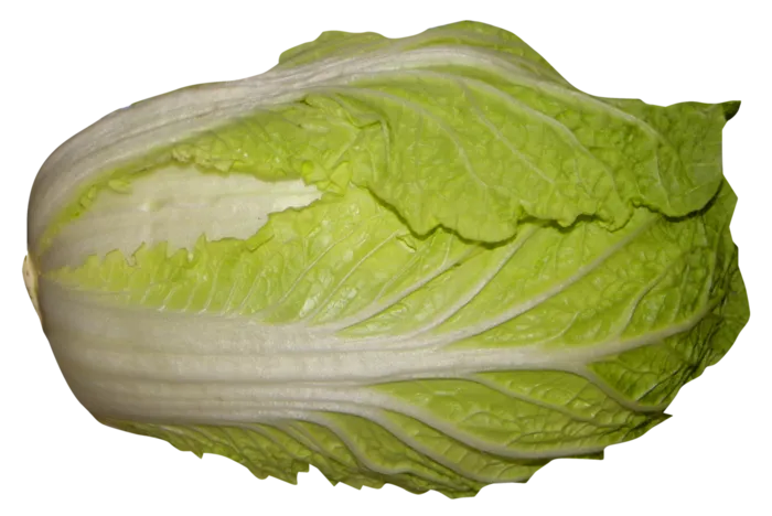 蔬菜大白菜