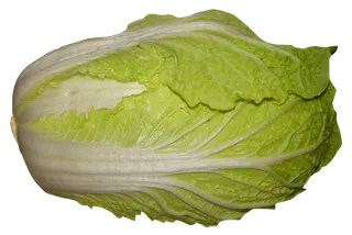 蔬菜大白菜