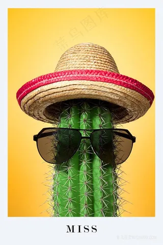 在草帽的仙人掌装饰画