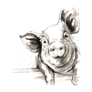 素描黑白简笔绘画少儿兴趣班